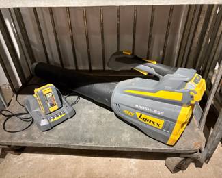 Lynxx Cordless Leaf Blower 