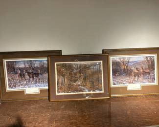 3 Framed Michael Sieve Wildlife Prints 