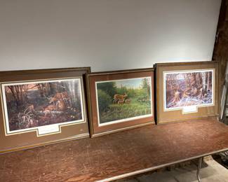 3 Framed Michael Sieve Wildlife Prints 