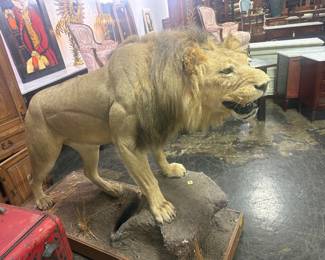 Gallery image 70