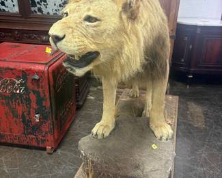 Gallery image 72