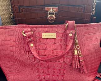 Brahmin 
