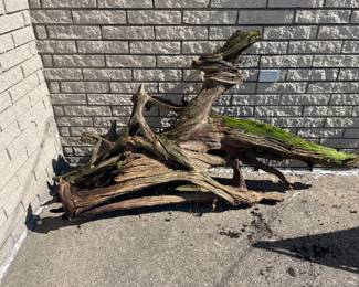 Tree Art