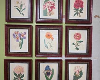 Set of 9 Botanical Prints by Pierre-Joseph Redoutรฉ