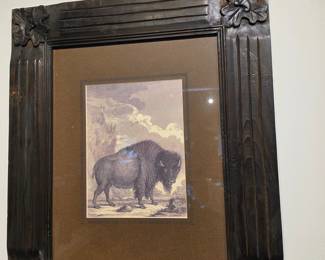 Framed Engraving of a Bison, possibly from Buffon's "Histoire Naturelle"