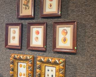 Set of Six 19th Century Hand-Colored Fruit Botanical Prints