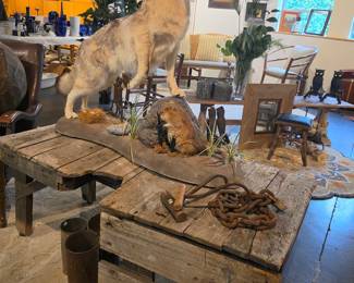Taxidermy Coyote and Rodent Diorama with Chain