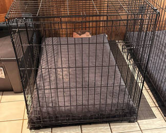 Lot 28: Three Wire Pet Crates with Pads