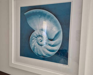 Lot 51: Framed blue nautilus shell print