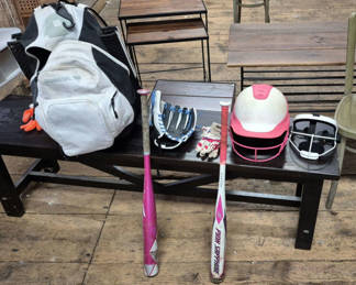 Lot 8: Baseball equipment set with bats, gloves, and helmets