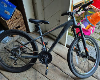 Lot 16: Trek Scout 24-Inch Mountain Bike