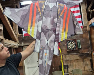 Lot 31: Three Assorted Decorative Kites