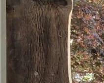 Lot 27: Reclaimed Wooden Plank