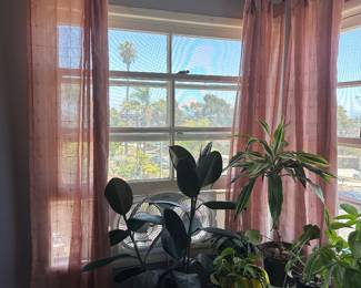 12 curtain sheer panels