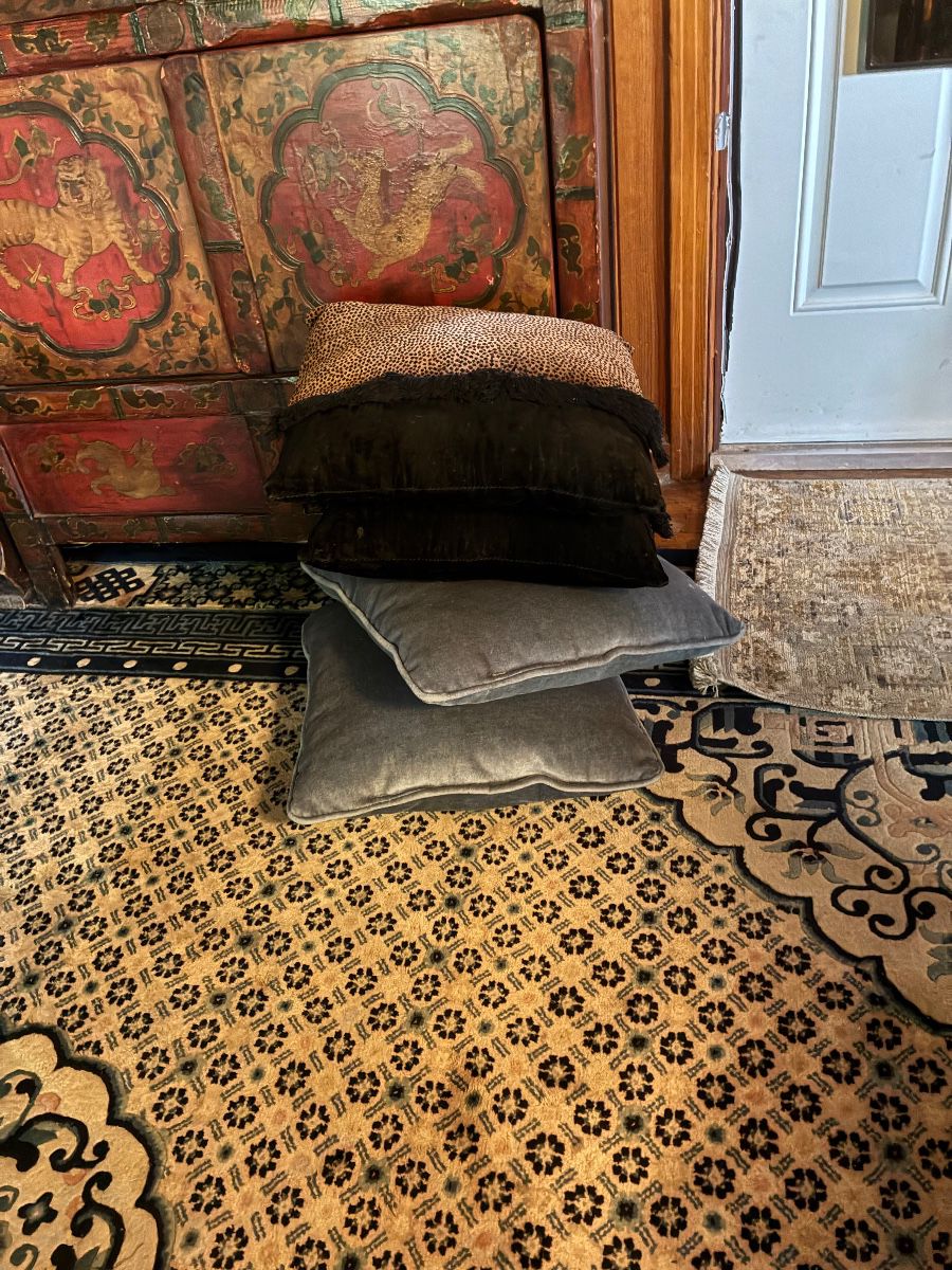 Cheetah velvet and blue velvet pillows