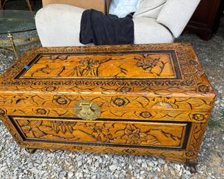Oriental camphor trunk