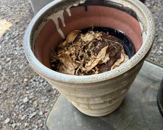 Medium sized ceramic planter