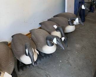 Avian X AXP Canada Goose Decoys (Lot of 6)