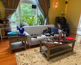 Wooden Coffee Table, Trays, Women's Clothing, Area Rug, Leather Sofa, Women's Purses, Decorative Pillows, Plants 