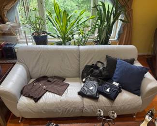 Leather Sofa, Women's Purses, Decorative Pillows, Plants 