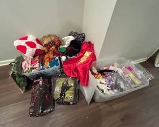 SO many costumes and dress-up items