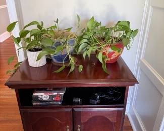 Plants