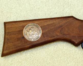 Daisy Pellet Guns