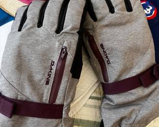 Dakin ski gloves