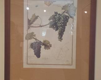 Botanical Grapes Print by M.P.