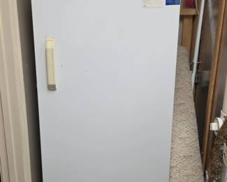 Frigidaire Commercial Freezer