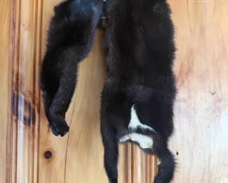 Mink Professionally Tanned Skin / Fur