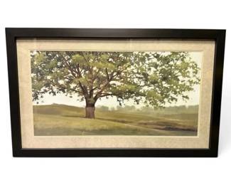 Lightells Wisdom Grows Framed Landscape Print 23 x 40