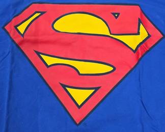Blue Superman Logo T-Shirt by Changes