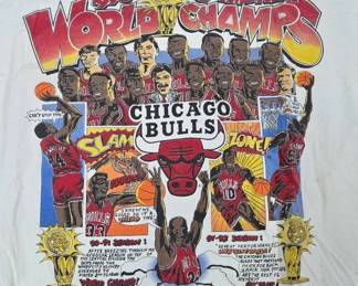 1993 Chicago Bulls World Champs T-Shirt