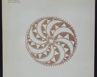Kendra Smith 'Fell From The Sun' Vinyl LP