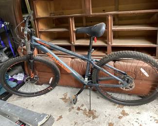 Mountain bike