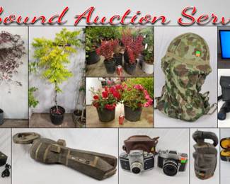 SAS Nursery Plants, African Masks Sculptures Online Auction