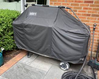 Weber grill
