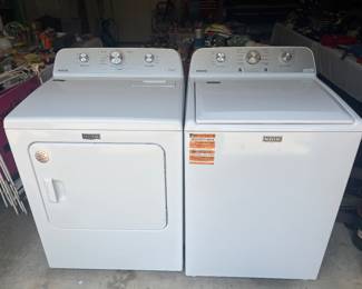750.00 for the pair , will not separate. 2 yrs old