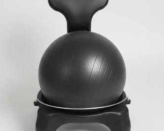 Balance Ball Chair Style