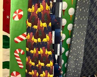 Assorted Men's Neckties Collection