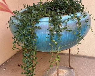 Large glazed planter