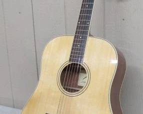 Another Austin Guitar