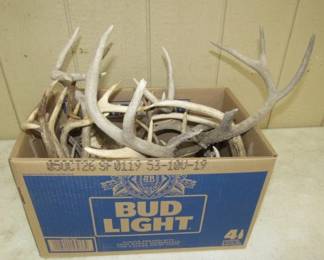 Box of Antlers