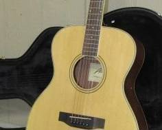 Austin Guitar