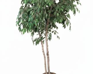 Artificial Ficus Tree