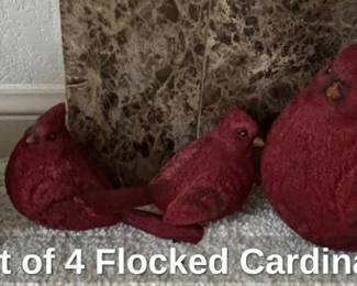 Set of Flocked Cardinals
