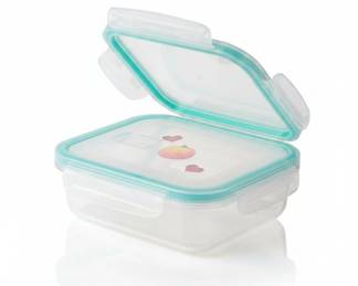Glass Food Storage Container with Blue Seal