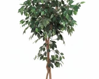 Artificial Ficus Tree in Pot