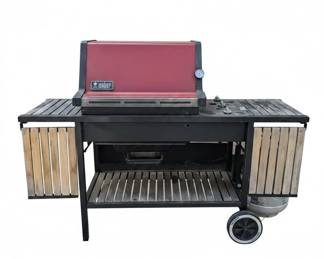 Weber Performer Charcoal Grill